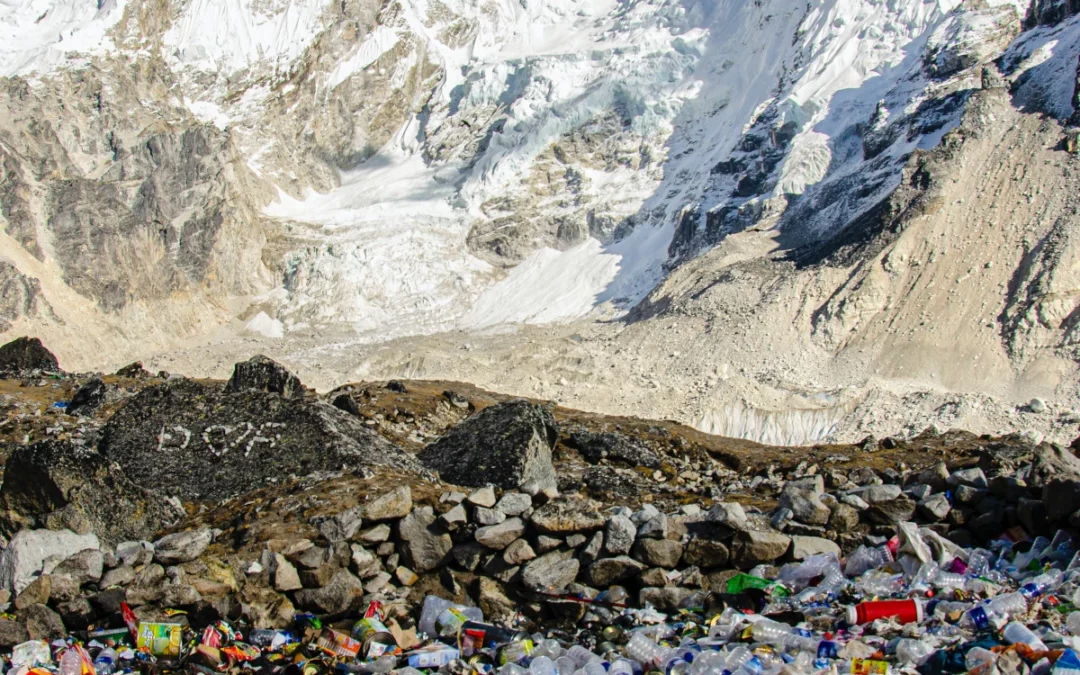 Turning the Tide on Trash: How Individuals, Communities, and Institutions Can Work Together for a Cleaner Future