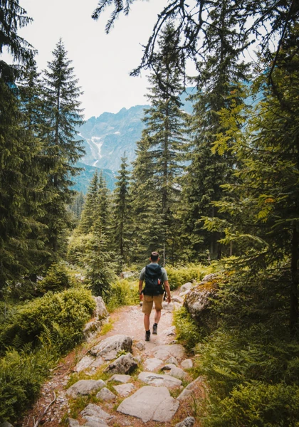 WTA-green-mountains