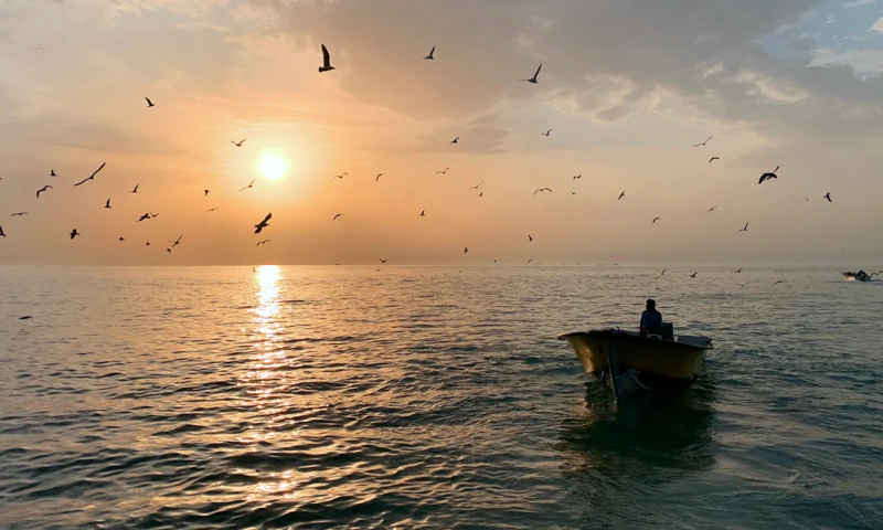 male-small-rowboat-middle-beautiful-sea-with-sun-shining