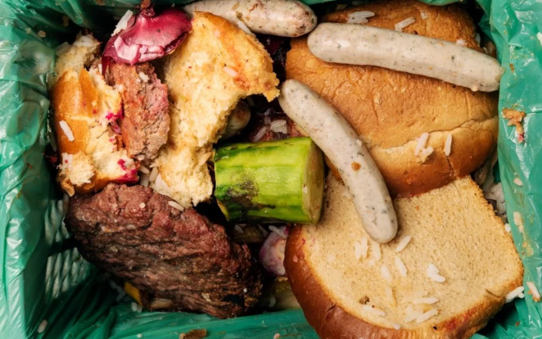 Deepening the Narrative on Mindful Eating for Personal Health and the Planet